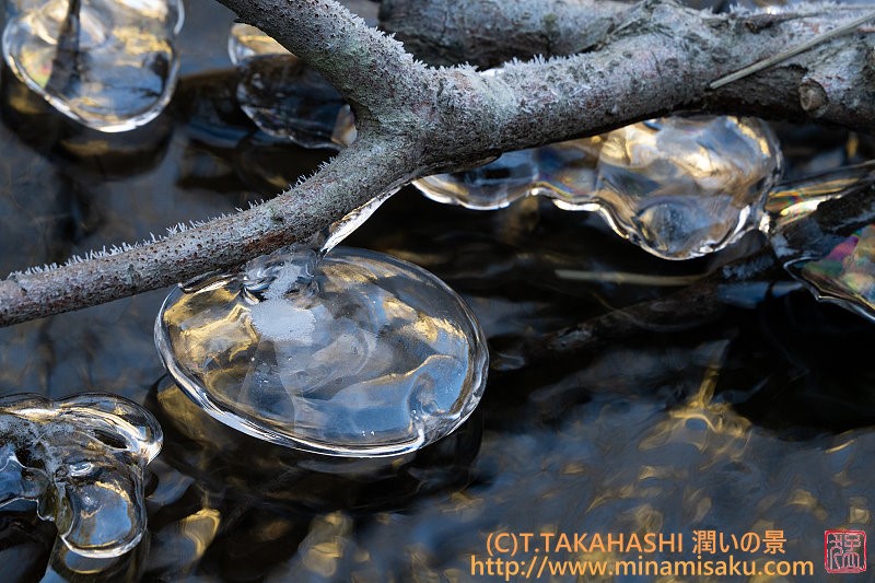 ../Images/7R250113 (112).jpg